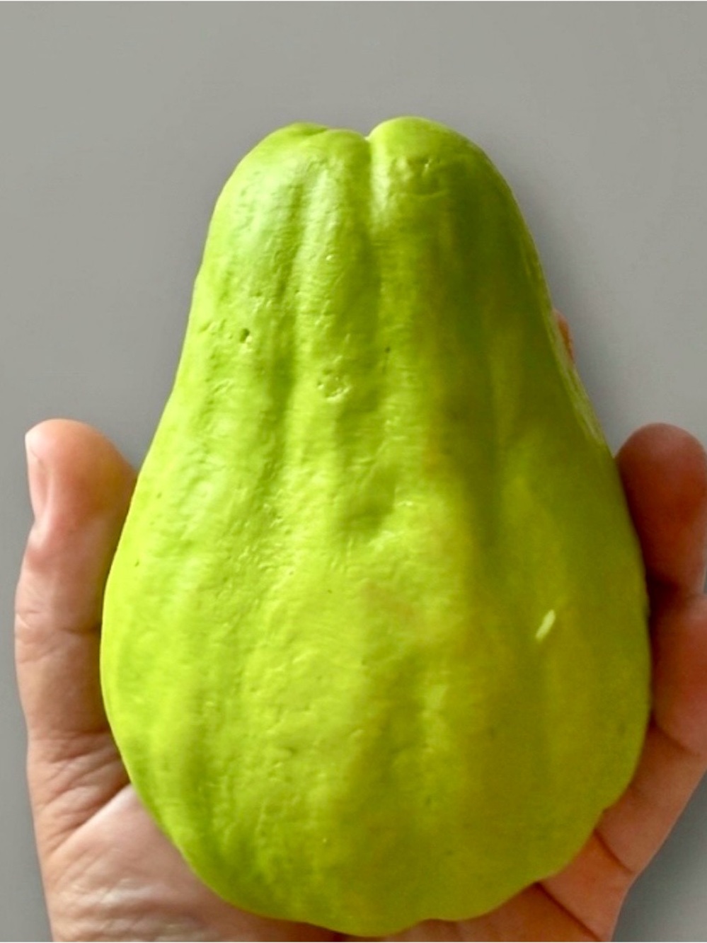 3D Realistic Chayote Coin Purse Keychain Bag Charm | Novelty Vegetable Pouch